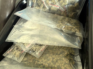 Zabezpieczone przez policjantów narkotyki