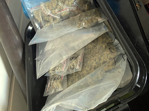 Zabezpieczone przez policjantów narkotyki