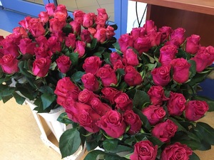 Obchody Dnia Kobiet w Komendzie Powiatowej Policji dla Powiatu Warszawskiego Zachodniego z siedzibą w Starych Babicach