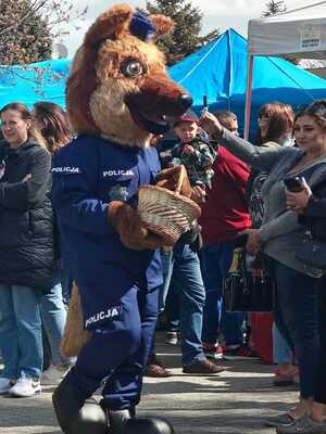 Eko Piknik w Błoniu