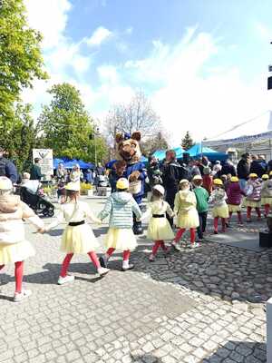 Eko Piknik w Błoniu